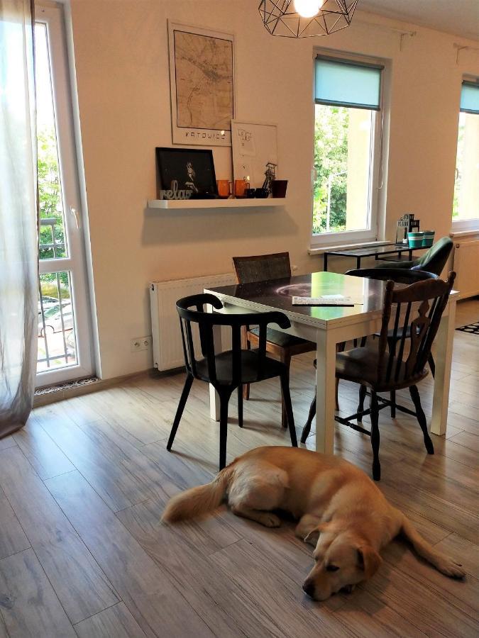 Gryfny Grubiorz Apartman Katowice Kültér fotó